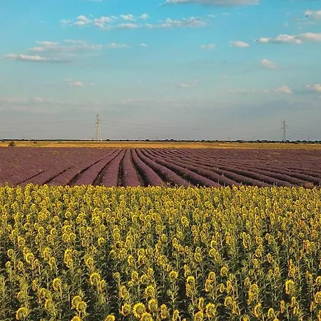 Hotel Ok La Basilica 2*