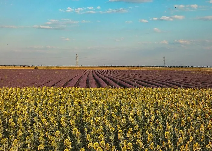 Hotel Ok La Basílica 2*